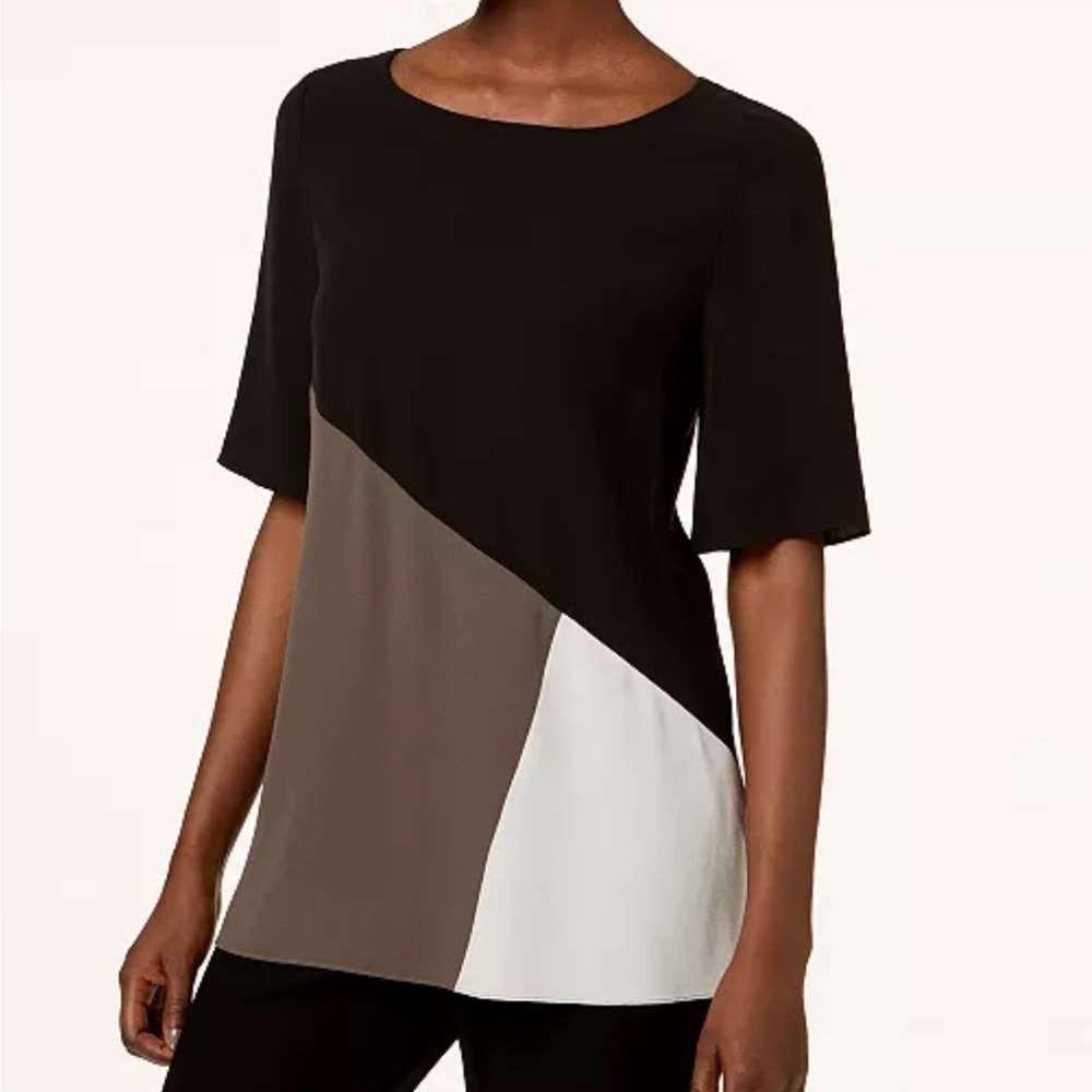 NWT Eileen Fisher 100% Silk Top Georgette Crepe Bateau-Neck Women XS Colorblock